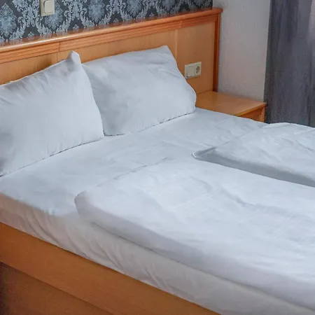 Self-check-in Constantin Otel 3*